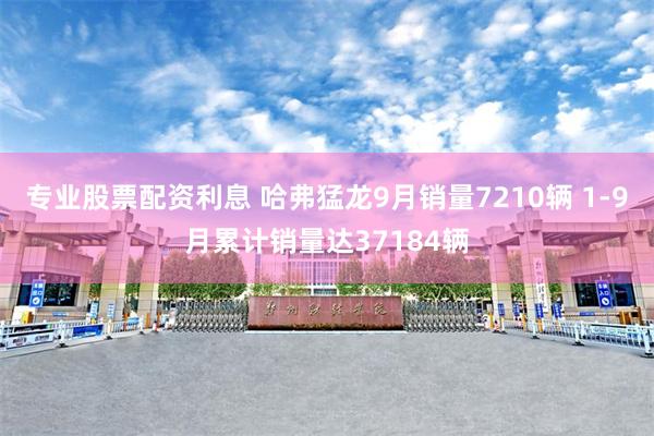 专业股票配资利息 哈弗猛龙9月销量7210辆 1-9月累计销量达37184辆