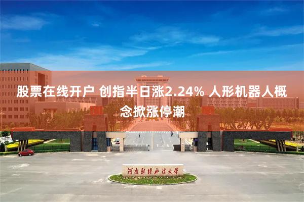 股票在线开户 创指半日涨2.24% 人形机器人概念掀涨停潮
