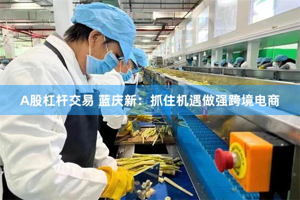 A股杠杆交易 蓝庆新：抓住机遇做强跨境电商