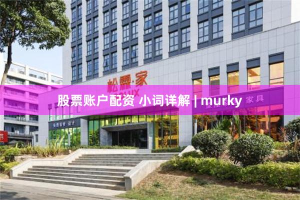 股票账户配资 小词详解 | murky
