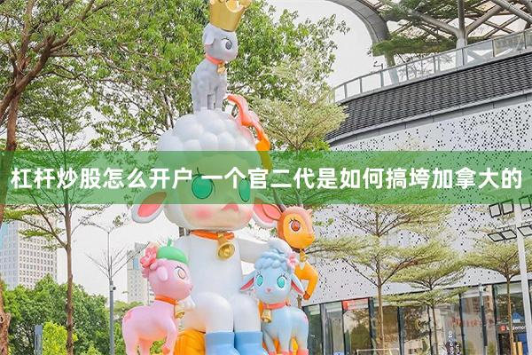 杠杆炒股怎么开户 一个官二代是如何搞垮加拿大的