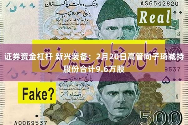 证券资金杠杆 新兴装备：2月20日高管向子琦减持股份合计9.6万股