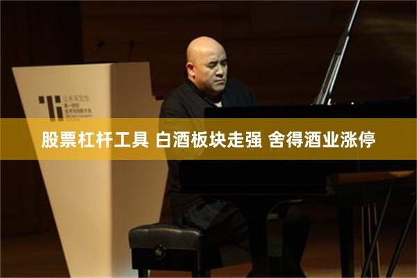 股票杠杆工具 白酒板块走强 舍得酒业涨停
