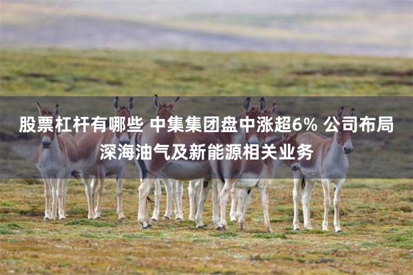 股票杠杆有哪些 中集集团盘中涨超6% 公司布局深海油气及新能源相关业务