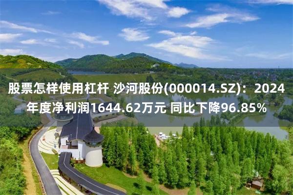 股票怎样使用杠杆 沙河股份(000014.SZ)：2024年度净利润1644.62万元 同比下降96.85%