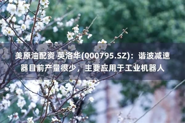 美原油配资 英洛华(000795.SZ)：谐波减速器目前产量很少，主要应用于工业机器人