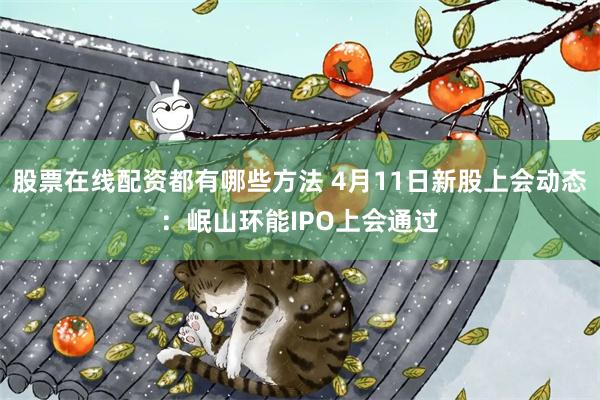 股票在线配资都有哪些方法 4月11日新股上会动态：岷山环能IPO上会通过