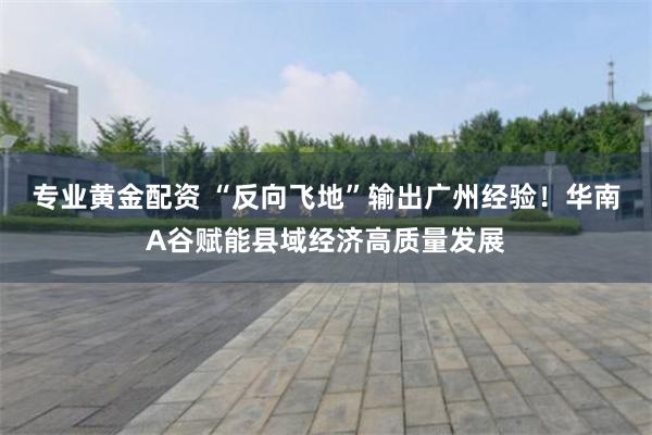 专业黄金配资 “反向飞地”输出广州经验！华南A谷赋能县域经济高质量发展