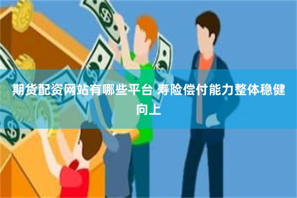 期货配资网站有哪些平台 寿险偿付能力整体稳健向上
