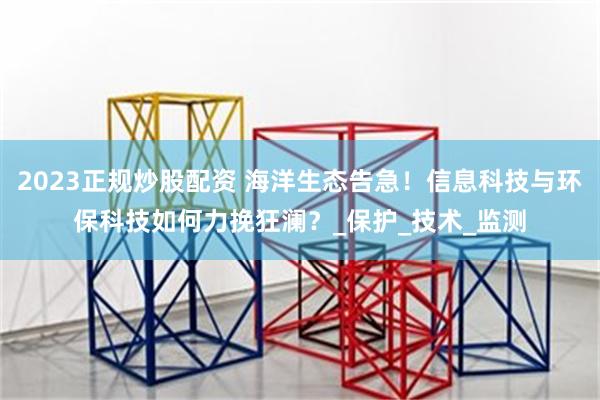 2023正规炒股配资 海洋生态告急！信息科技与环保科技如何力挽狂澜？_保护_技术_监测
