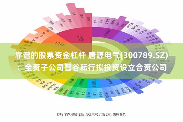 靠谱的股票资金杠杆 唐源电气(300789.SZ)：全资子公司智谷耘行拟投资设立合资公司