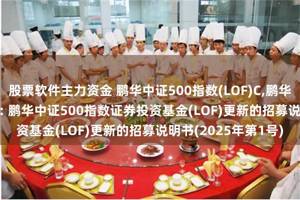股票软件主力资金 鹏华中证500指数(LOF)C,鹏华中证500指数(LOF)I: 鹏华中证500指数证券投资基金(LOF)更新的招募说明书(2025年第1号)